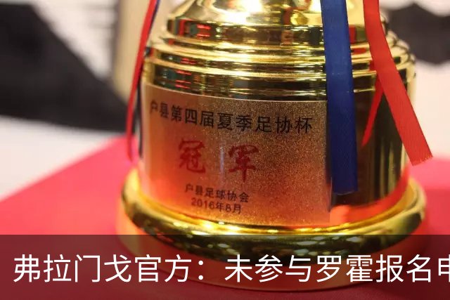 弗拉门戈官方：未参与罗霍报名申请，将等待南美足联最终裁决